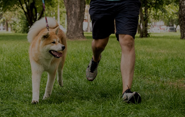 man walking a dog